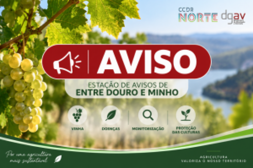 Aviso 13\2026\EADEM - Esta&ccedil;&atilde;o de Avisos de Entre Douro e Minho